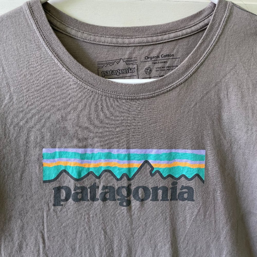 Patagonia Organic Crew T-Shirt